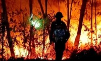 Bản tin 8H: Huy động gần 500 người xuyên đêm chữa cháy rừng ở Nghệ An