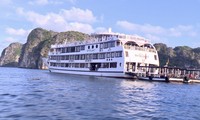 Phát hiện tàu du lịch 5 sao cho khách &apos;tắm chui&apos; trên vịnh Hạ Long