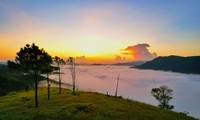 Săn mây trên đỉnh Phượng Hoàng - toạ độ &apos;check in sống ảo&apos; mới cực đẹp ở Quảng Ninh