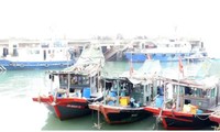 Khai thác thủy sản bằng ngư cụ cấm trong vùng lõi vịnh Hạ Long