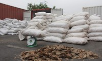 Bắt giữ hơn 8 tấn vảy tê tê giấu trong container qua cảng Hải Phòng