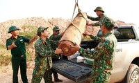 Phát hiện quả bom nặng 450kg khi san lấp đất ở Quảng Ninh