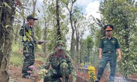 Phát hiện 8 hài cốt liệt sĩ trong rẫy tiêu ở Đắk Nông