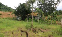 Đắk Nông: Lại sụt lún, đứt gãy bất thường, diện tích hơn 9ha