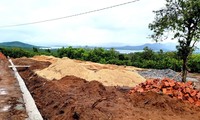 Chủ nhiệm Uỷ ban Kiểm tra Huyện ủy bị phạt 3,5 triệu đồng vì huỷ hoại đất