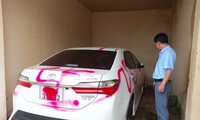Truy tìm nhóm người bịt mặt xịt sơn ô tô của giám đốc trung tâm cây trồng