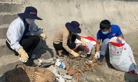 Đoàn viên, thanh niên tỉnh Khánh Hoà tham gia dọn rác thải tại bãi biển Nha Trang