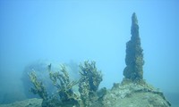 Xơ xác rạn san hô tại Khu bảo tồn biển vịnh Nha Trang. Ảnh NGUYEN SON.