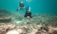 Nha Trang đề xuất lắp camera giám sát, bảo vệ san hô ở khu bảo tồn Hòn Mun