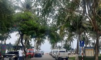 Yêu cầu chấm dứt các bãi giữ xe trái phép dọc bờ biển Nha Trang