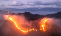 Đang cháy ngùn ngụt trên núi Cô Tiên - Nha Trang