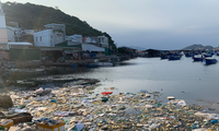 ‘Quốc đảo tôm hùm’ Bình Ba ngập trong biển rác