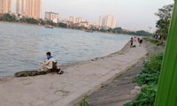 Vụ câu cá, thu phế tại hồ Định Công: Công ty Thoát nước Hà Nội nói gì?