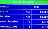 Kết quả biểu quyết của Quốc hội thông qua Luật sửa đổi, bổ sung Bộ luật hình sự 2015.