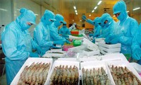 EU vẫn xem xét việc “rút thẻ vàng” với thủy sản Việt Nam