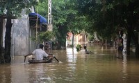Hà Nội: Huyện Chương Mỹ thiệt hại hơn 100 tỷ đồng do bão lũ