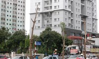 Nhà tái định cư trên phố Tạ Quang Bửu (Hai Bà Trưng, Hà Nội) bị bỏ hoang gần 10 năm. Ảnh: Như Ý.