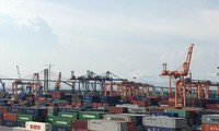 Lượng lớn container tồn đọng tại cảng nhưng vẫn chưa được xử lý. Ảnh: Ngô Bình.