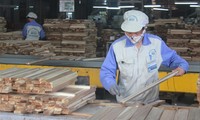Ngành gỗ Việt Nam lo ngại, các DN Trung Quốc sẽ chuyển qua đầu tư ở Việt Nam dưới dạng FDI, để lấy nguồn gốc ở Việt Nam xuất đi Mỹ​. Ảnh: Bình Phương.