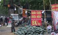 Trái cây siêu rẻ tràn vỉa hè Hà Nội và TPHCM; hàng loạt tivi hạng sang giảm giá ‘kịch sàn’