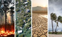 Khí hậu năm 2024 của Việt Nam và thế giới diễn biến thế nào?