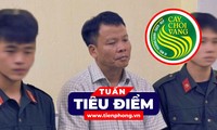 TIÊU ĐIỂM: Vụ án tại Tạp chí Môi trường và Đô thị rất phức tạp, thủ đoạn tinh vi, nhiều bị hại