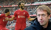 Nhận định, dự đoán Liverpool vs Brighton, 21h00 ngày 30/10: Khó cản Salah