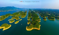 Bức ảnh nổi tiếng về Hồ Thác Bà bị ăn cắp bản quyền