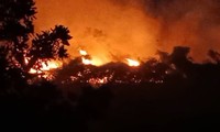 Cháy hàng nghìn m2 rừng trồng do đốt nương ở Yên Bái