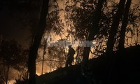 Huy động gần 500 người dập đám cháy rừng ở Yên Bái 