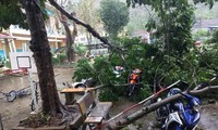 Mưa lớn kèm gió lốc khiến nhiều ngôi nhà, trường học ở Hà Giang bị hư hỏng