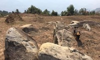 Phát lộ nhiều khối đá cổ khắc ruộng bậc thang ở Mù Cang Chải