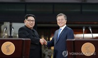 Hàn Quốc và Triều Tiên tiếp tục các hoạt động hợp tác trong tuần tới