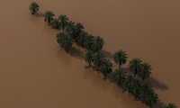 Quang cảnh ngập lụt tại tỉnh Khuzestan, chỉ còn mỗi hàng cây là nổi trên mặt nước