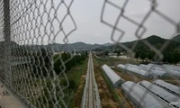 Hàn Quốc lo ngại dịch tả lợn bùng nổ ở Triều Tiên sẽ lan nhanh qua khu vực phi quân sự, gây tổn hại không nhỏ đến ngành công nghiệp chăn nuôi trị giá hàng tỷ USD của nước này