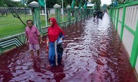 'Dòng lũ máu' tràn ngập một ngôi làng ở Indonesia. Ảnh: AFP.