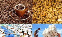 Xuất khẩu nông sản sang EU: Doanh nghiệp Việt phải nâng cao giá trị