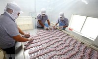 Phát hiện nhiều lô hàng nông, thủy sản Việt Nam vi phạm chất cấm của EU