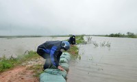 Mưa lũ bất thường, hàng chục nghìn ha lúa ở miền Trung chìm trong nước