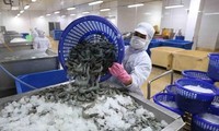 Người dân Mỹ, EU thắt chặt hầu bao, xuất khẩu tôm Việt Nam tuột dốc tăng trưởng âm