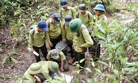 Hơn 2.300 kiểm lâm, bảo vệ rừng nghỉ việc