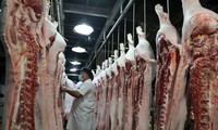 Giá lợn hơi lao dốc, đề nghị Bộ Nông nghiệp nghiên cứu xuất khẩu