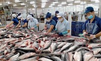 ‘Ngấm đòn’ lạm phát, doanh nghiệp xuất khẩu thủy sản tuột dốc mạnh