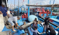 Tổng cục Thủy sản lên tiếng vụ cảng cá ‘vẽ’ quy định gây khó doanh nghiệp