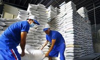 Gạo Việt vượt qua Thái Lan, lập kỷ lục giá cao nhất thế giới 