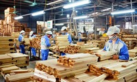 Doanh nghiệp gỗ ‘phản pháo’ việc bị chậm hoàn hơn 6.000 tỷ đồng thuế VAT 
