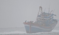 Cập nhật bão Talim: 2 tàu cá bị chìm, hơn 100 ngôi nhà sập, tốc mái
