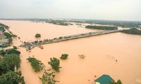 Mực nước sông Hồng, sông Thái Bình lên báo động 3, nguy cơ lũ lớn