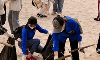 Bạn trẻ cùng du khách dọn rác trên bãi biển Đà Nẵng. Ảnh: T.T