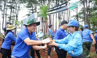 Bạn trẻ ở Đắk Nông hưởng ứng trồng cây xanh tại xã Quảng Sơn, huyện Đắk G’long. ẢNH: HUỲNH THỦY